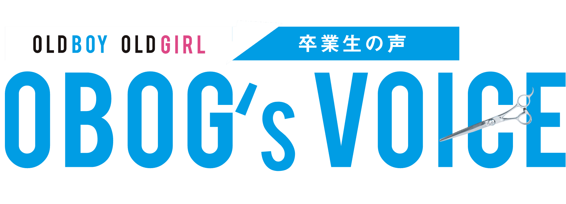 OLD BOY OLD GIRL 卒業生の声 OBOG voice