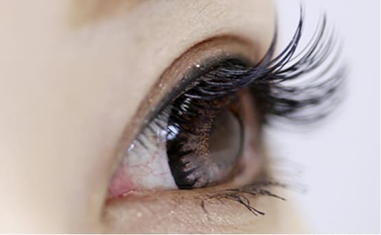 まつ毛エクステ検定