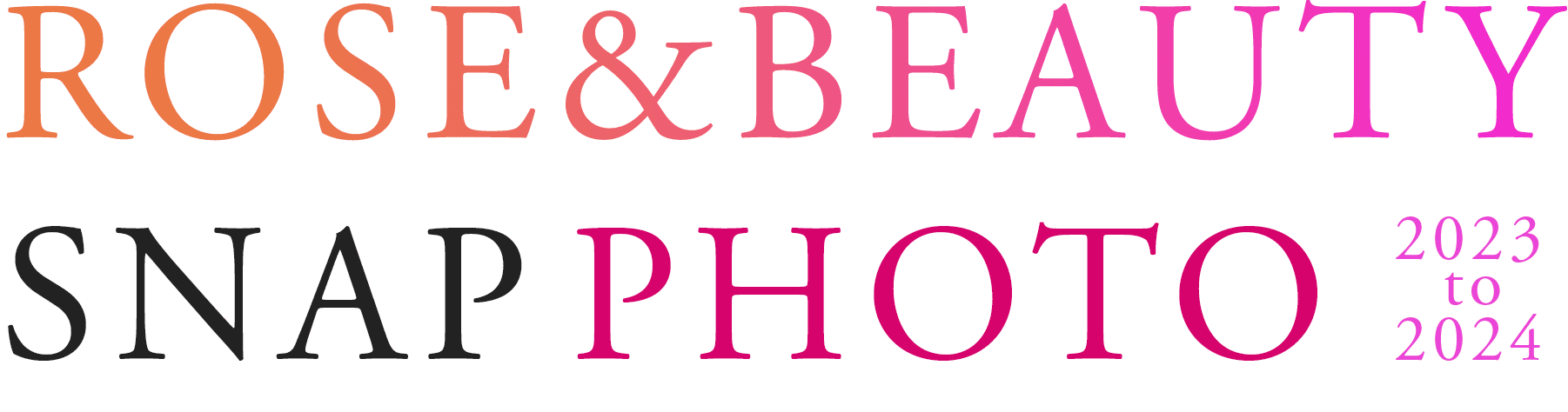 ROSE&BEAUTY SNAP PHOTO 2023 to 2024