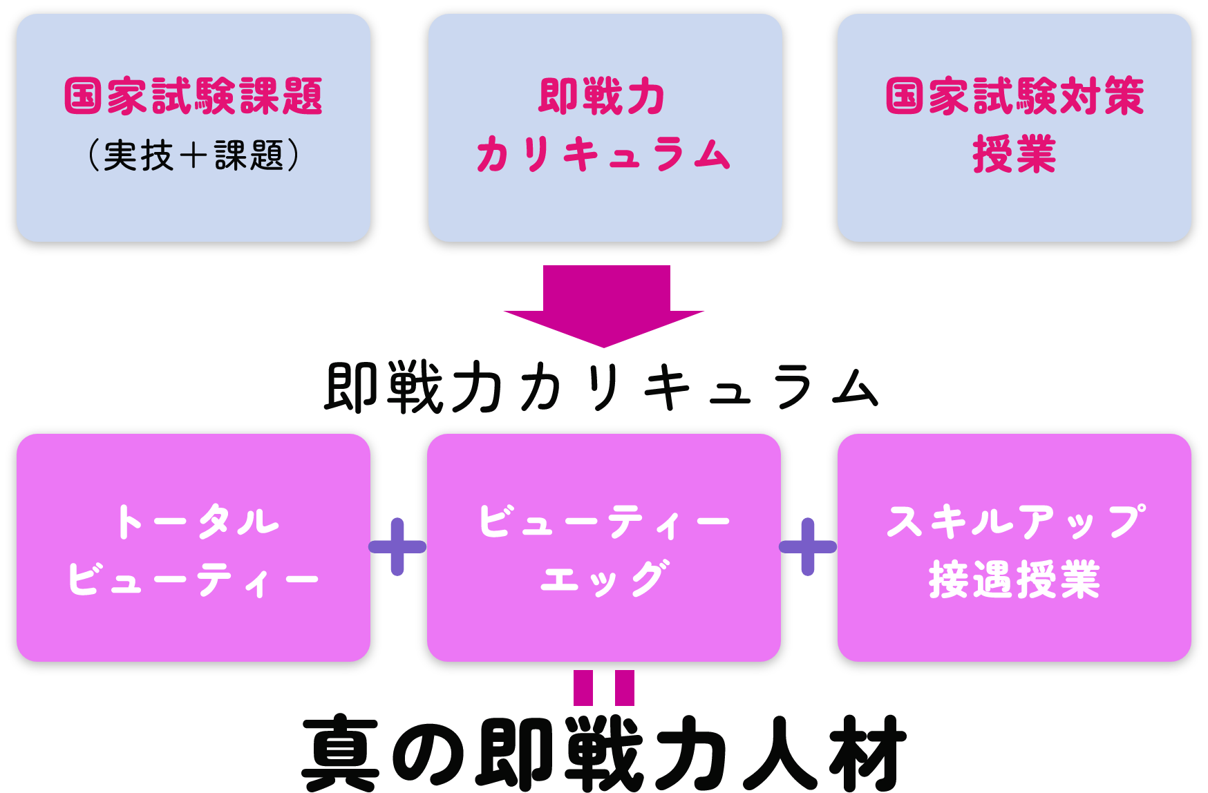 国家試験課題(実技+課題)即戦力カリキュラム 国家試験対策授業 即戦力カリキュラム トータルビューティー ビューティーエッグ スキルアップ接遇授業 真の即戦力人材