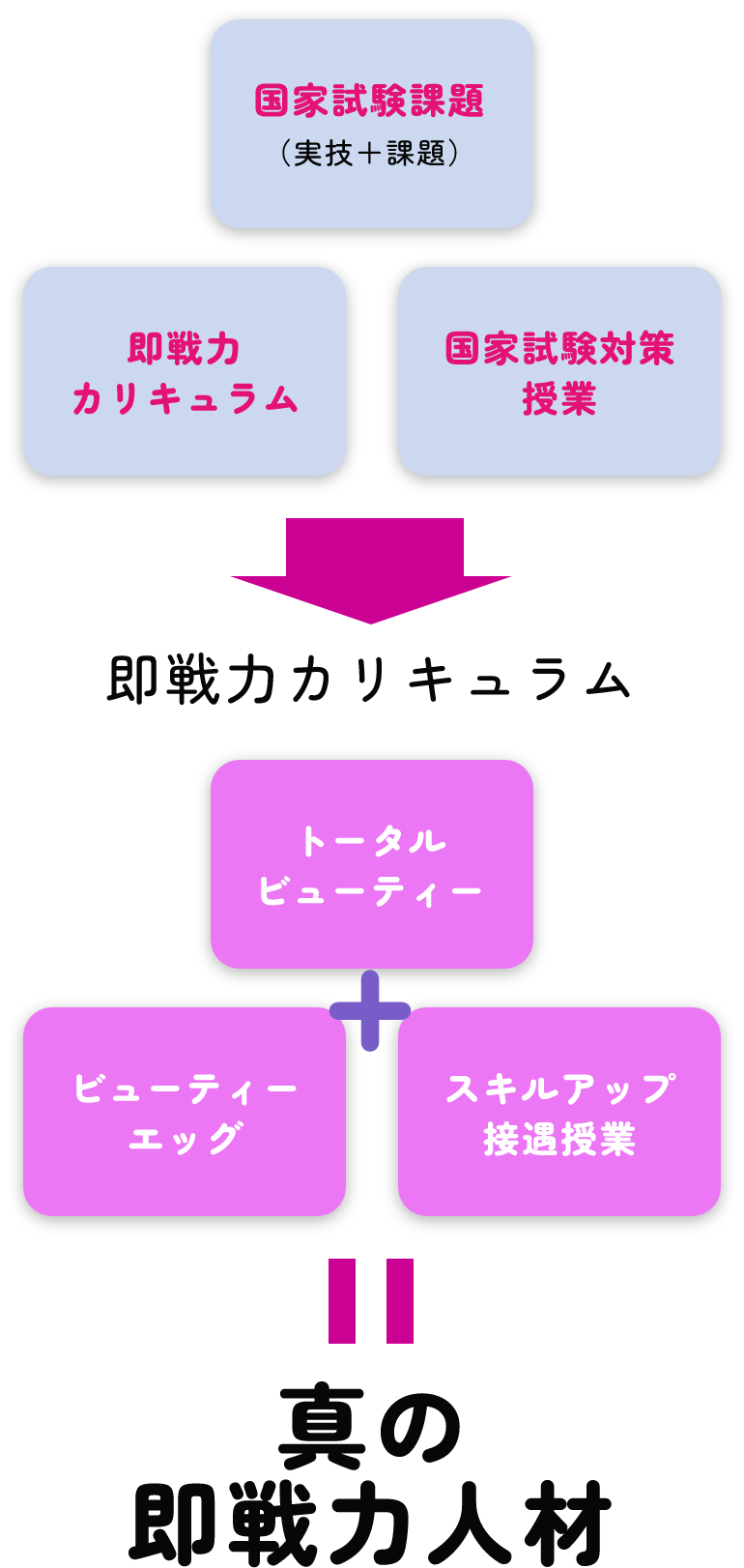国家試験課題(実技+課題)即戦力カリキュラム 国家試験対策授業 即戦力カリキュラム トータルビューティー ビューティーエッグ スキルアップ接遇授業 真の即戦力人材