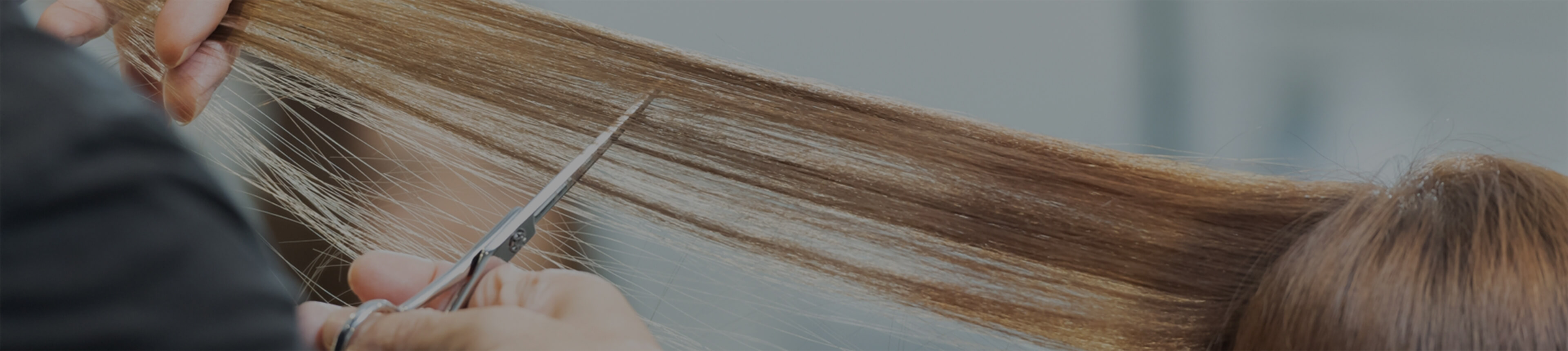 企業の方へ For companies